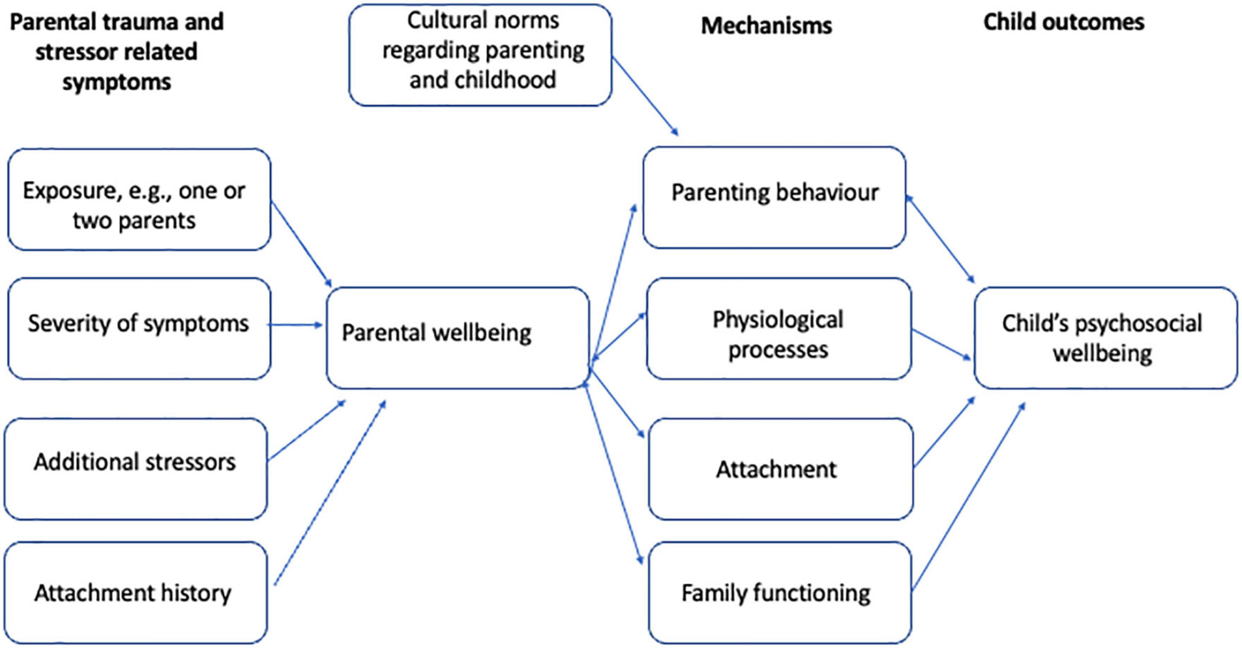 Combatting intergenerational effects of psychotrauma with multifamily therapy